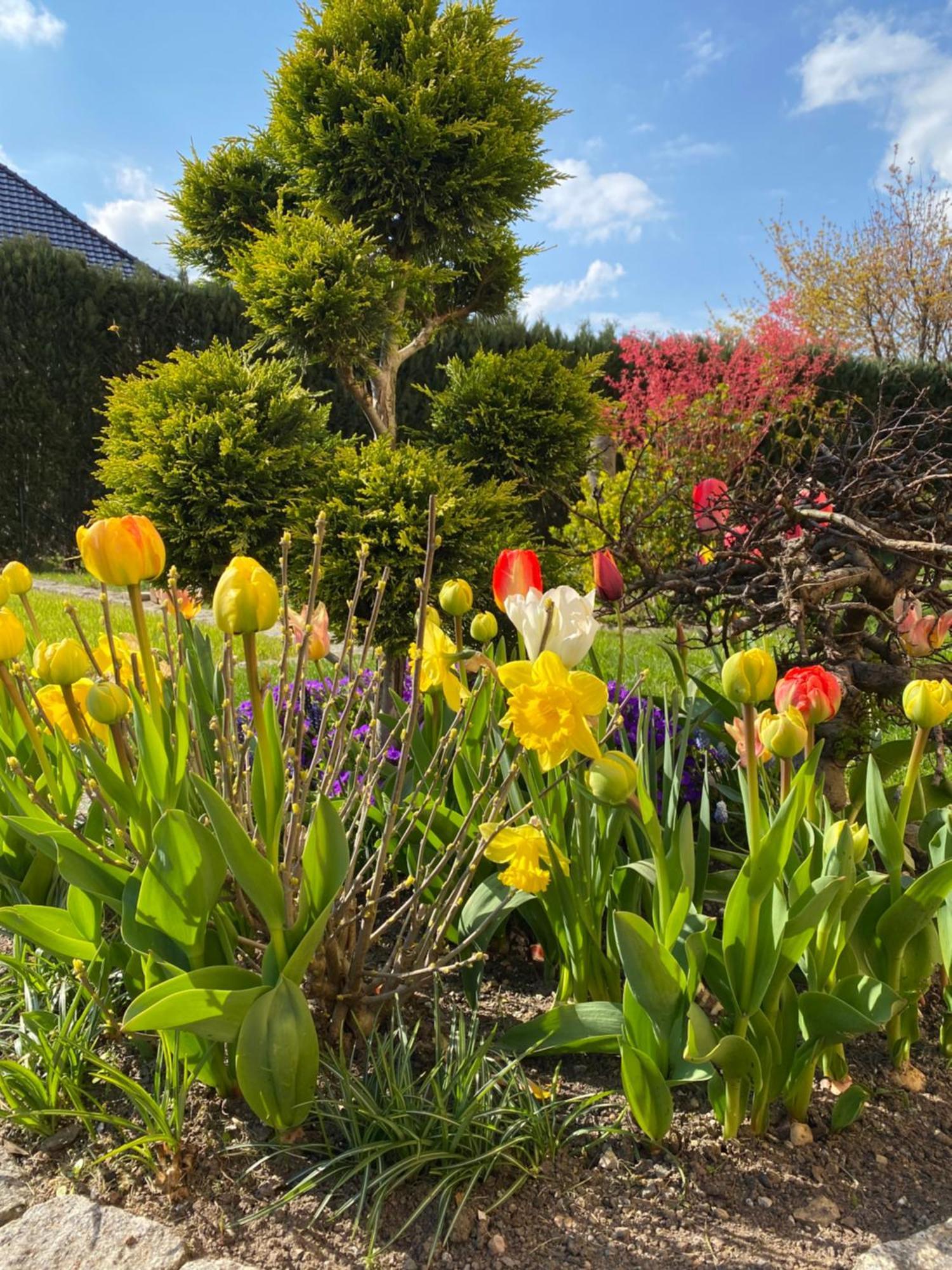 Hempis Ferienwohnungen Hochkirch Esterno foto